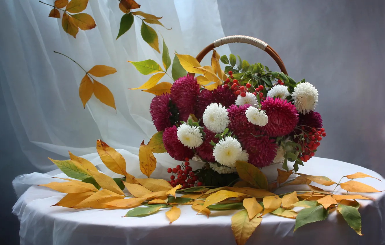 Фото обои осень, листья, цветы, натюрморт, рябина, сентябрь, астры
