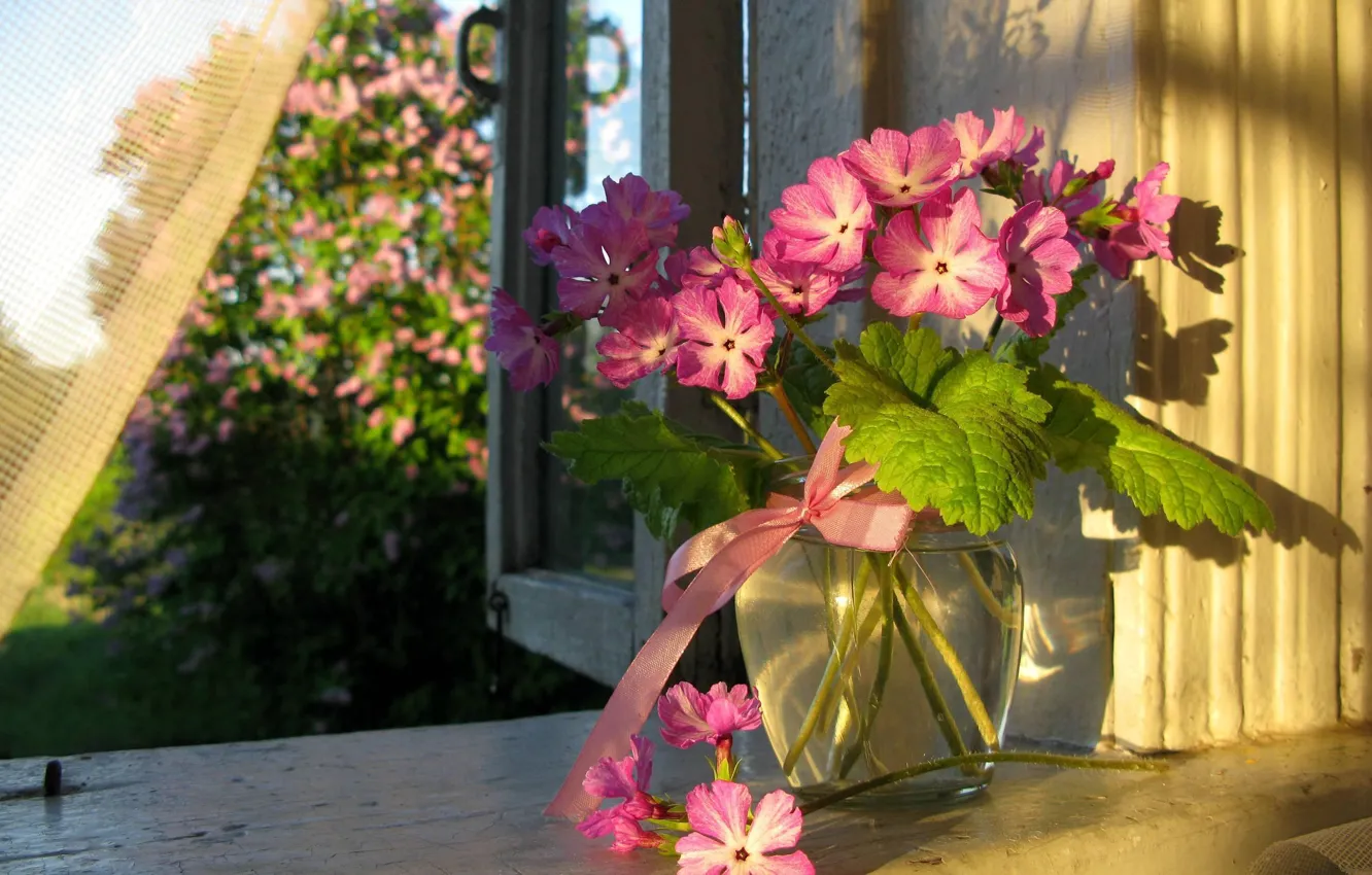Фото обои цветы, Лето, окно, ваза, занавеска