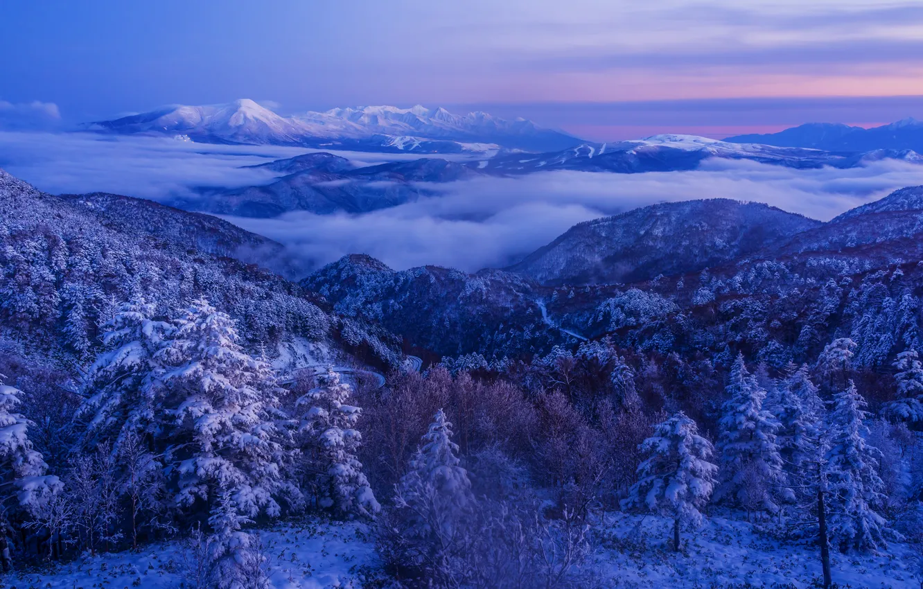 Фото обои Japan, forest, sky, trees, landscape, nature, winter, mountains