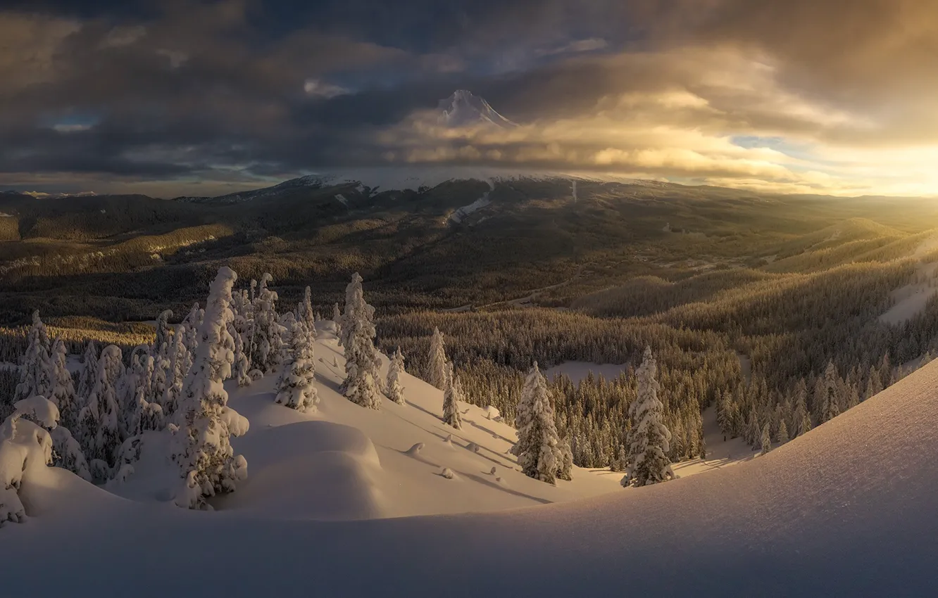 Фото обои зима, лес, снег, рассвет, утро, долина, Орегон, сугробы