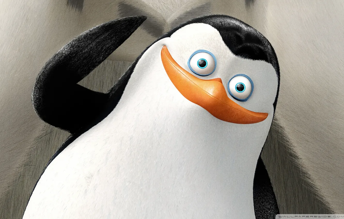 Фото обои мультфильм, The Penguins of Madagascar, Пингвины из Мадагаскара, Private