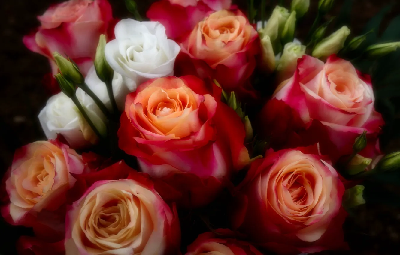 Фото обои розы, букет, красные, розовые, бутоны