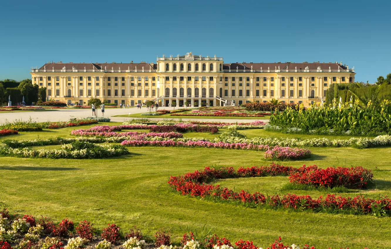 Фото обои цветы, парк, Австрия, сад, дворец, Austria, Вена, Vienna