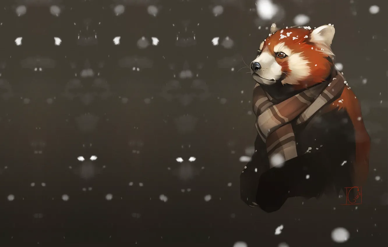 Фото обои снег, красная панда, art, первый снег, Александра Хитрова, GaudiBuendia