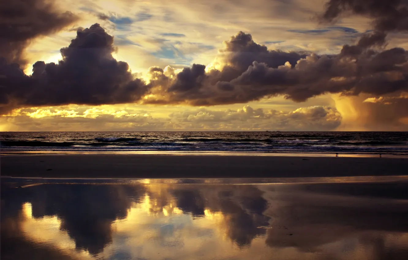 Фото обои море, пляж, небо, облака, чайки