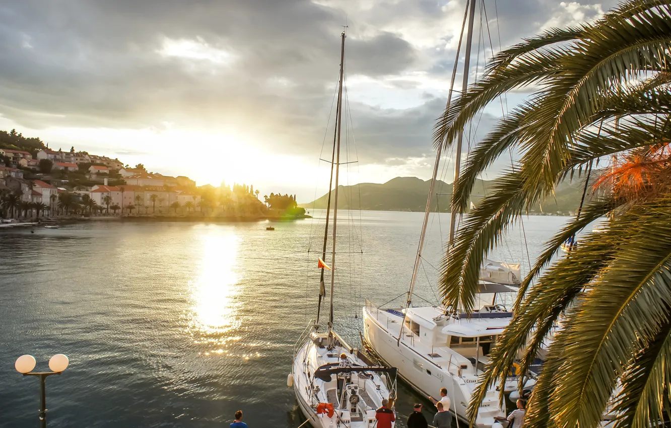 Фото обои море, закат, пальма, яхты, Хорватия, Croatia, Корчула, Адриатическое море