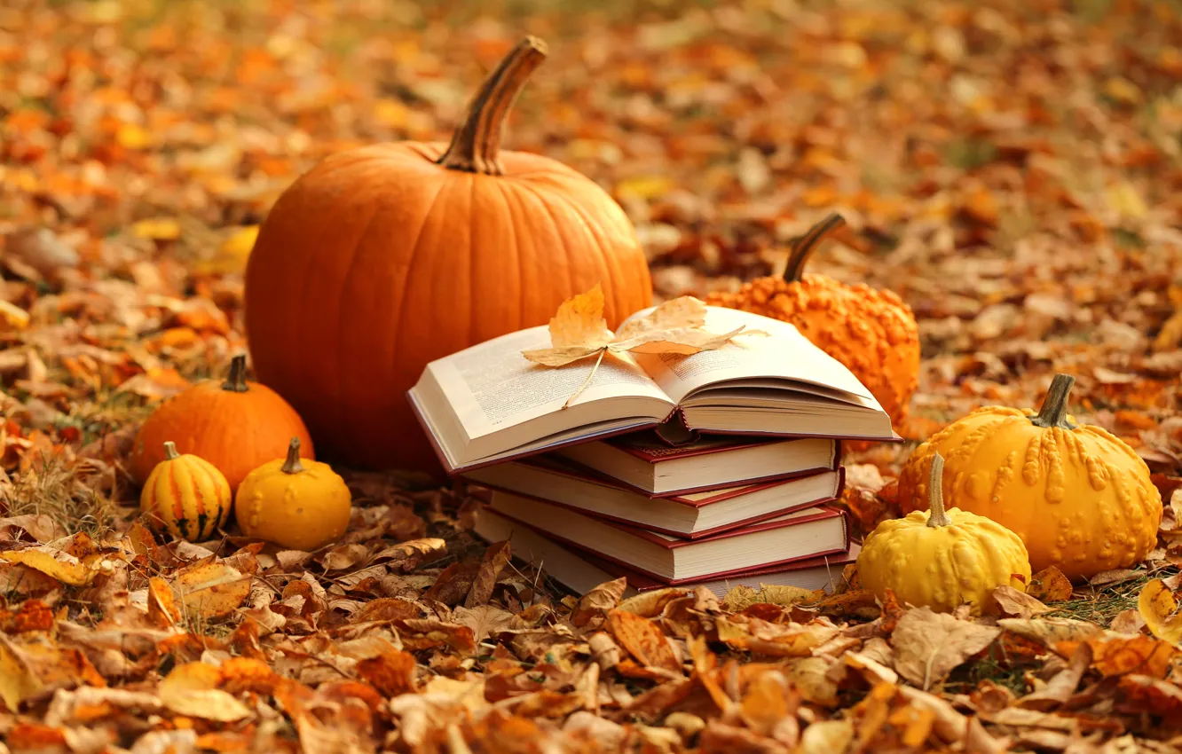 Фото обои осень, листья, книги, урожай, тыква, yellow, autumn, leaves