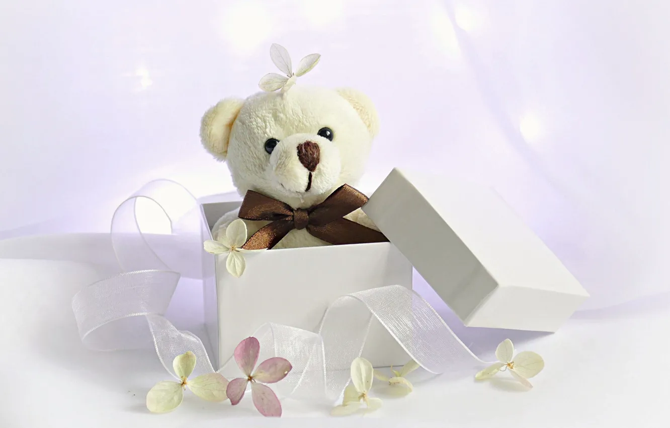 Фото обои фон, коробка, подарок, игрушка, лента, медвежонок, цветки, плюшевый мишка