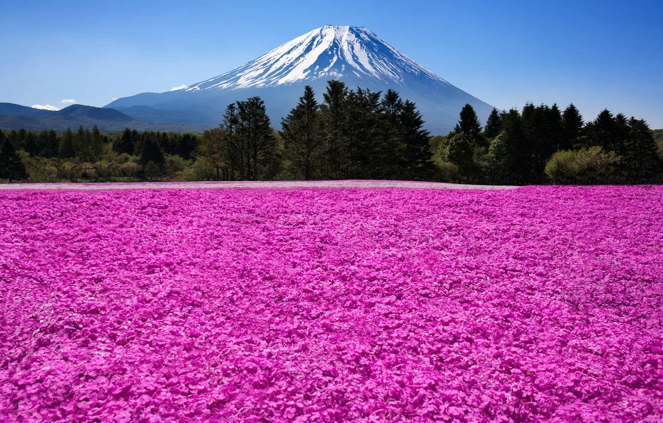 Фото обои природа, гора, вулкан, Япония, Japan, Фуджи