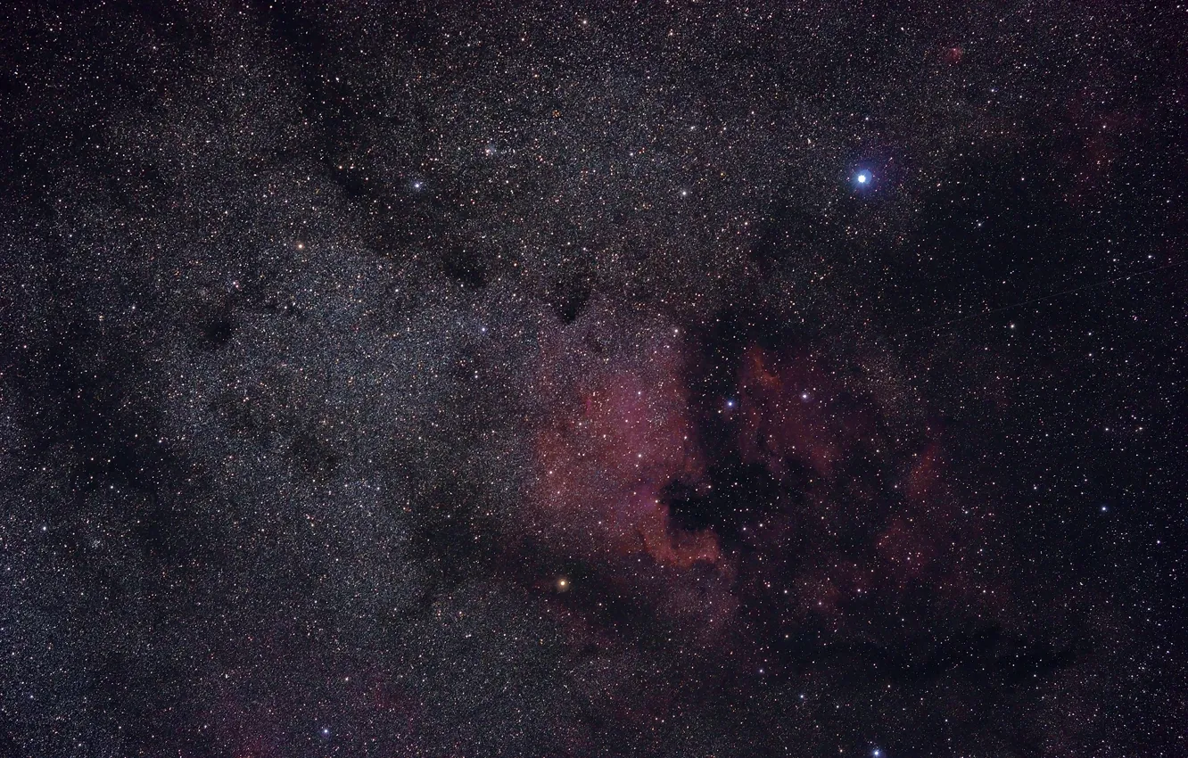 Фото обои космос, звезды, Туманность Пеликан, Северная Америка