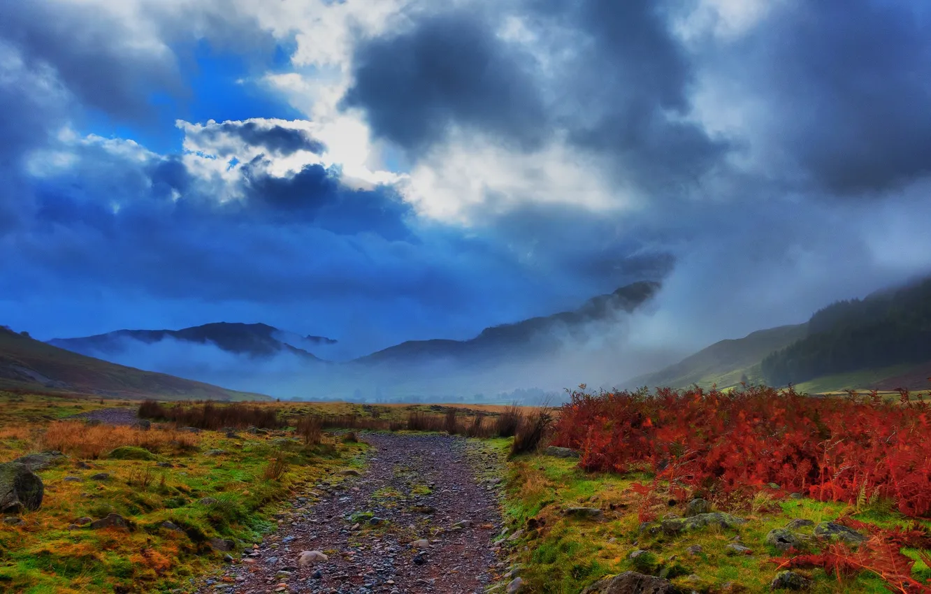Фото обои дорога, осень, трава, облака, горы, кусты