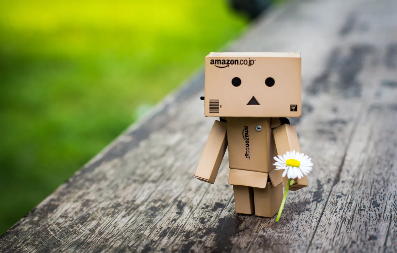 Фото обои коробка, Danbo, amazon