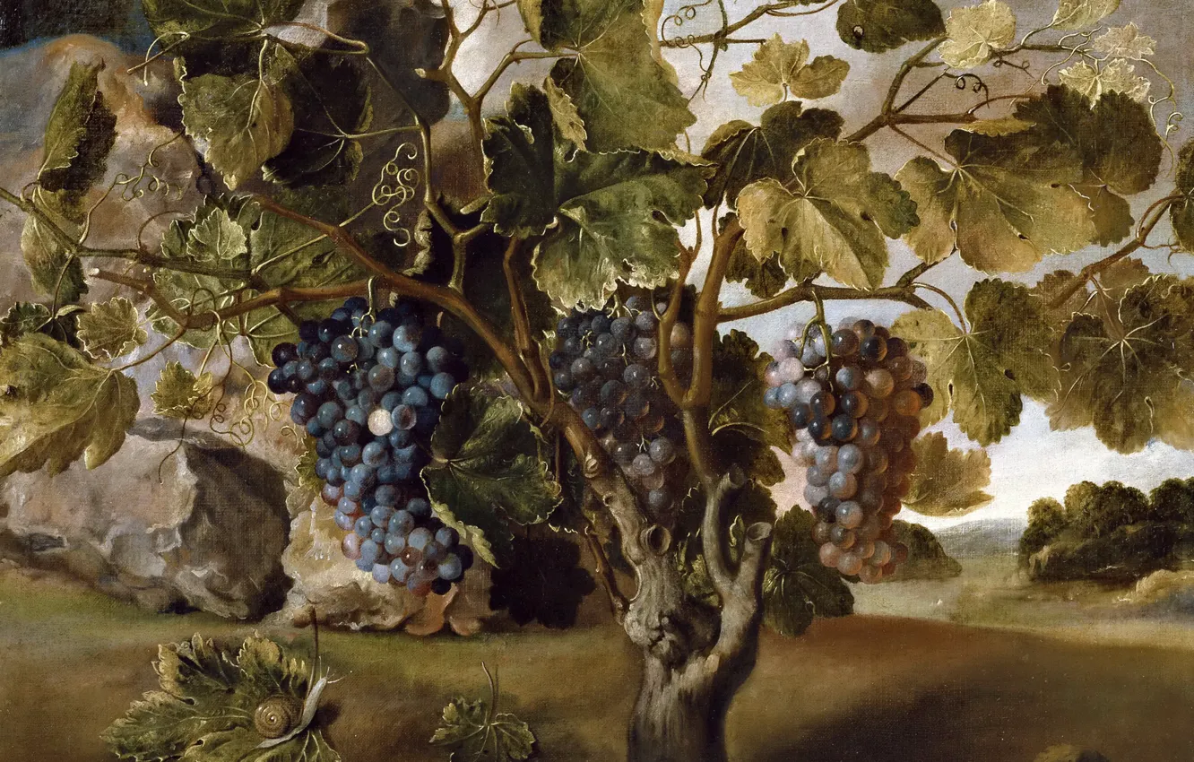 Фото обои ягоды, картина, гроздь, Томас Хепес, Пейзаж с Виноградной Лозой