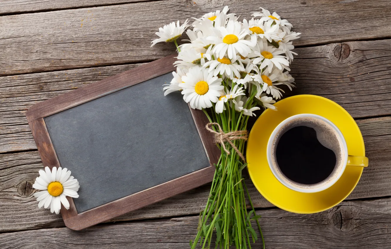 Фото обои цветы, ромашки, доска, wood, flowers, cup, coffee, camomiles