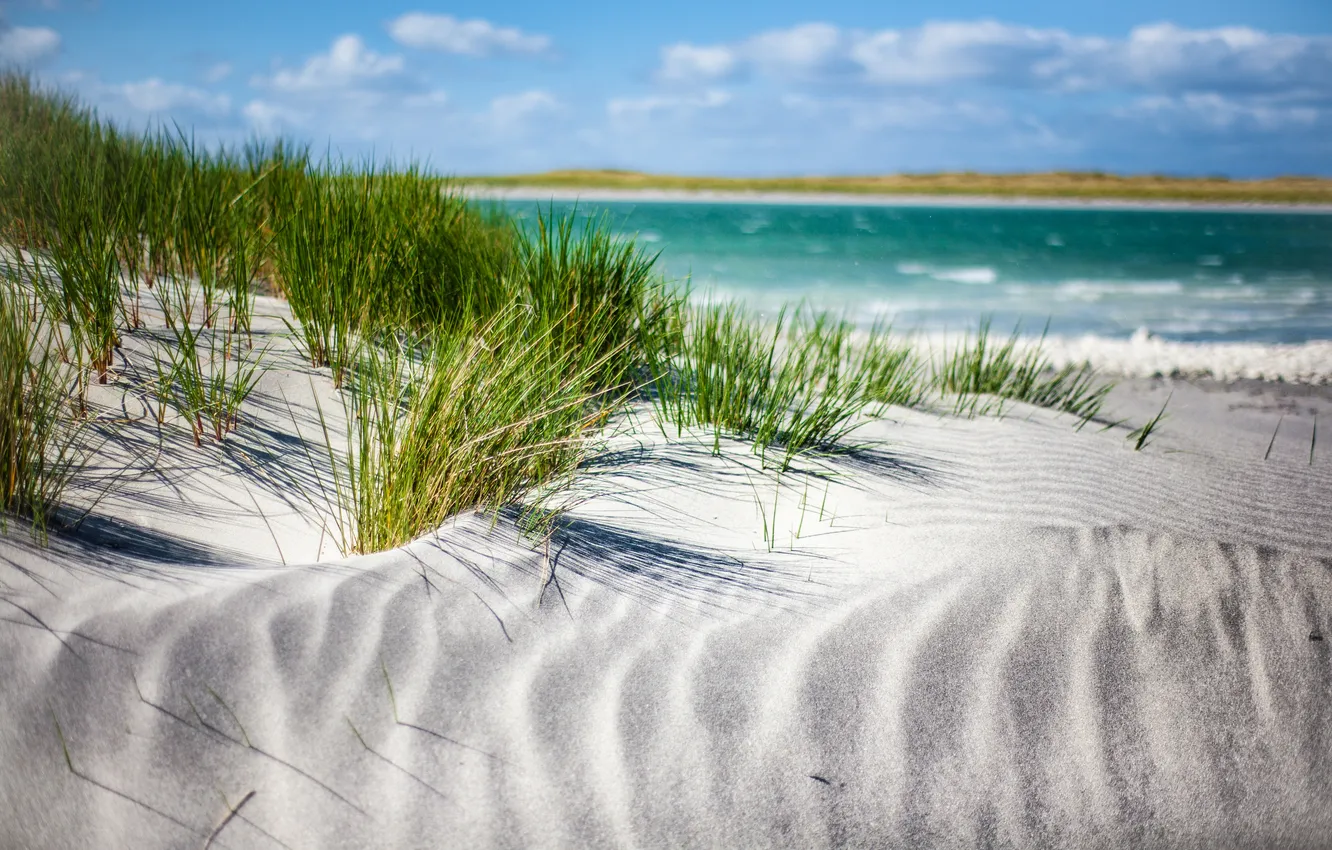Фото обои песок, море, трава, облака, дюны