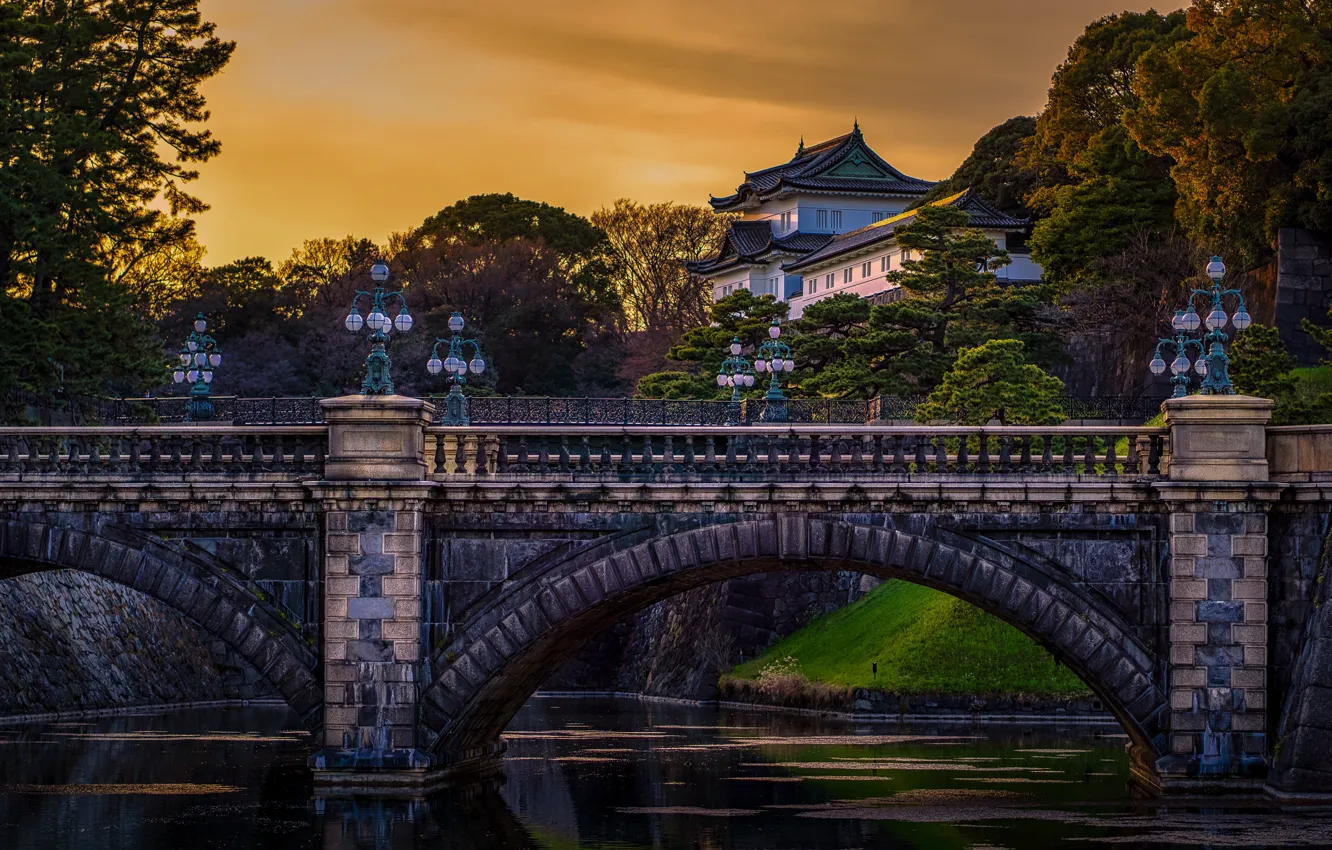 Фото обои деревья, пейзаж, мост, река, здание, вечер, Япония, Токио