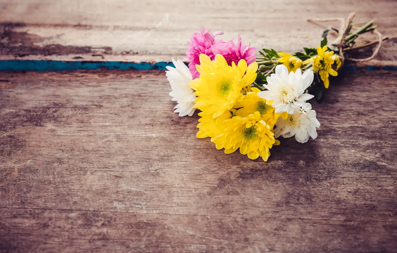 Фото обои цветы, букет, хризантемы