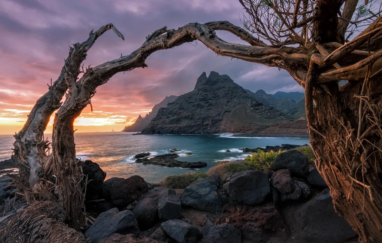 Фото обои море, закат, берег