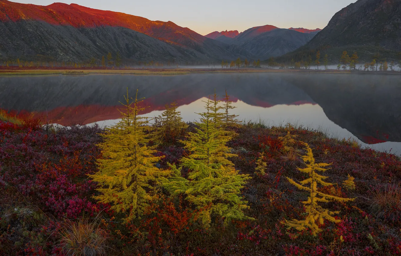 Фото обои осень, пейзаж, горы, природа, озеро, отражение, растительность, утро