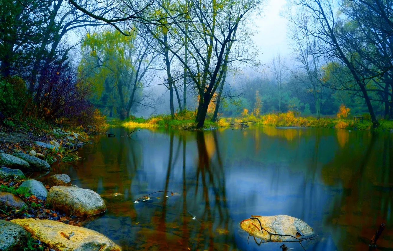Фото обои грусть, осень, вода, деревья, туман, пруд, камни, настроение
