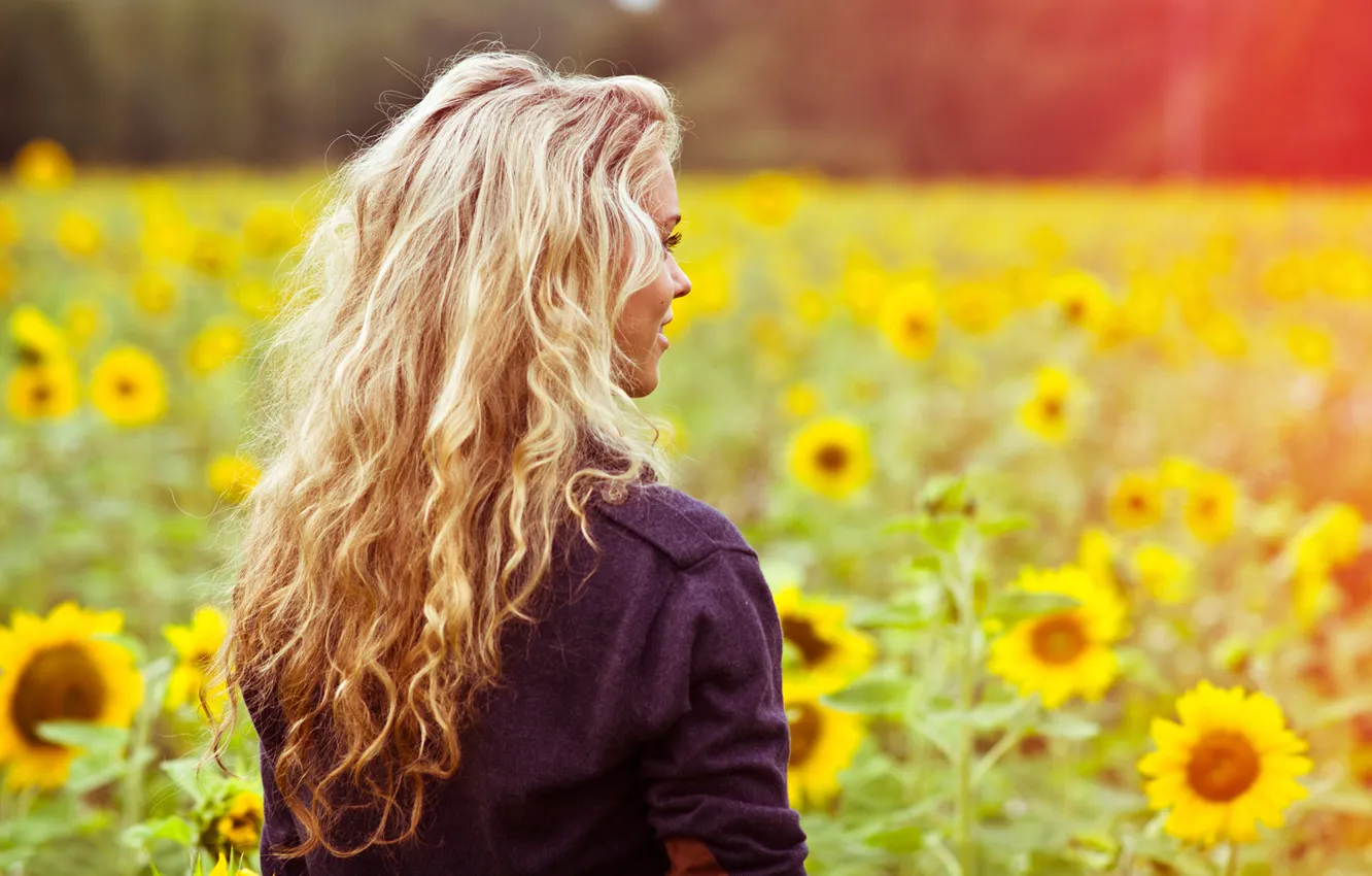 Фото обои поле, лето, девушка, свет, подсолнухи, цветы, лицо, улыбка