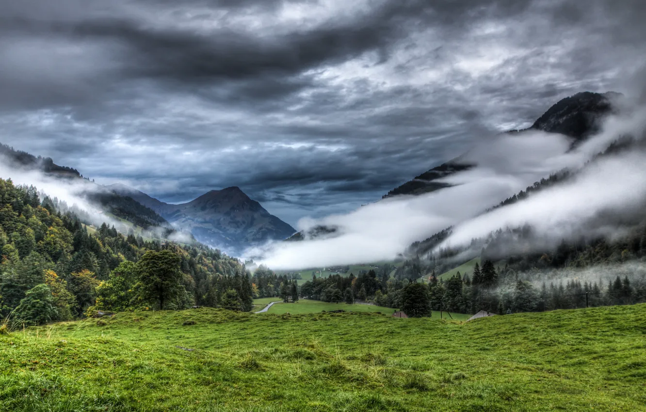 Фото обои лес, облака, горы, природа, туман, луг