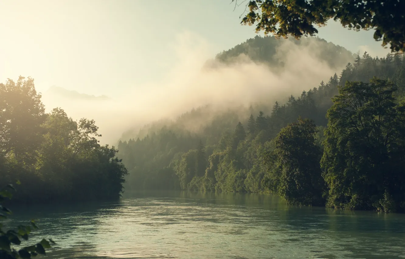 Фото обои лес, пейзаж, природа, туман, река, гора, утро, Альпы