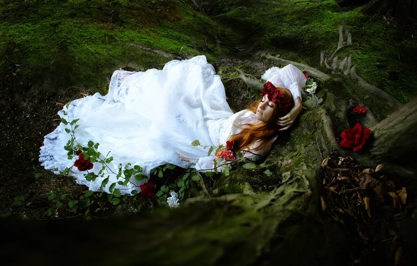 Фото обои лес, девушка, сон, розы, Sleep sugar