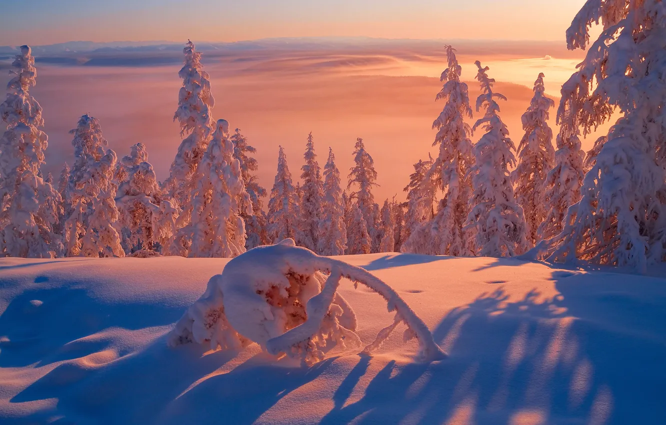 Фото обои зима, свет, снег, мороз, холодно, Сибирь, Республика Саха, Якутия