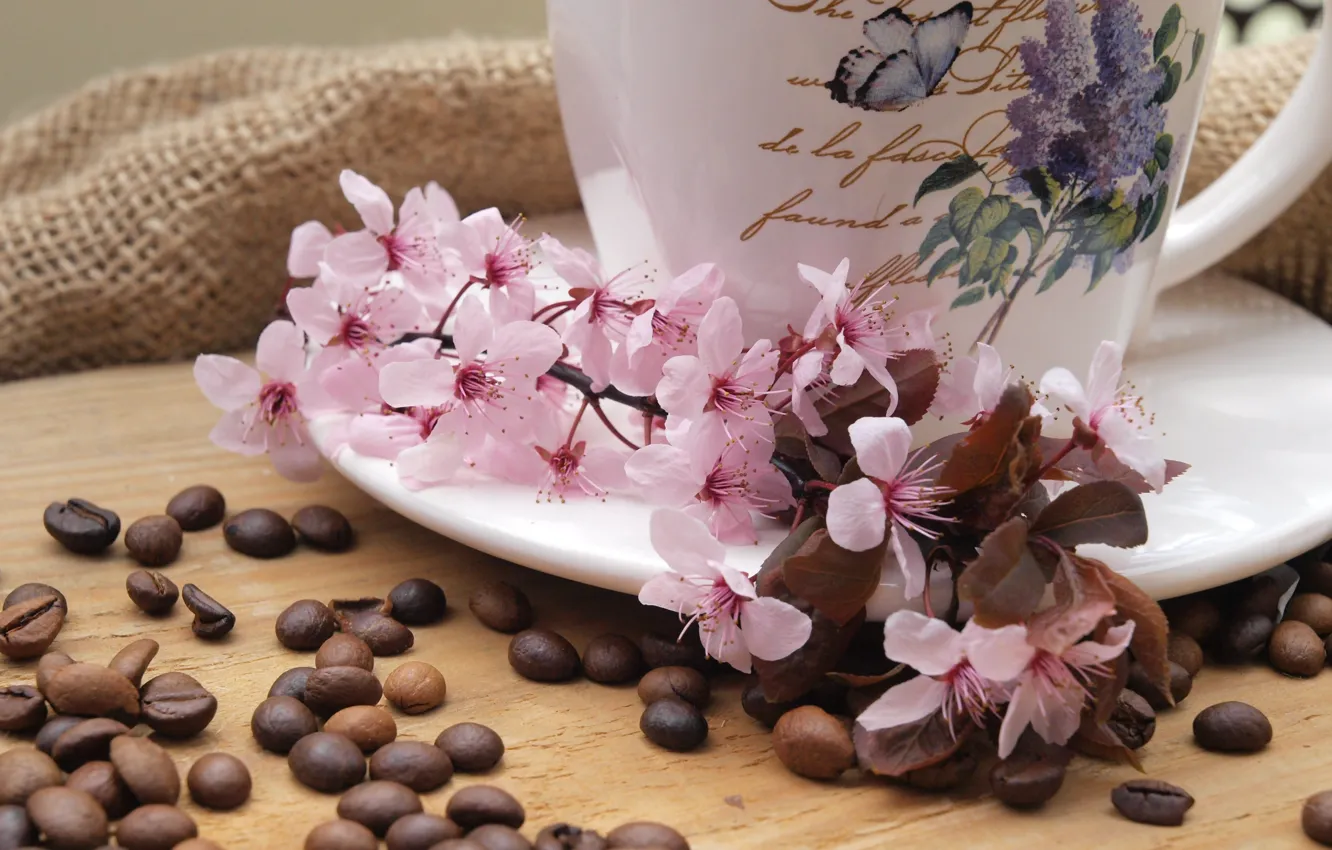 Фото обои цветы, кофе, ветка, чашка, ткань, мешковина, блюдце, зёрна