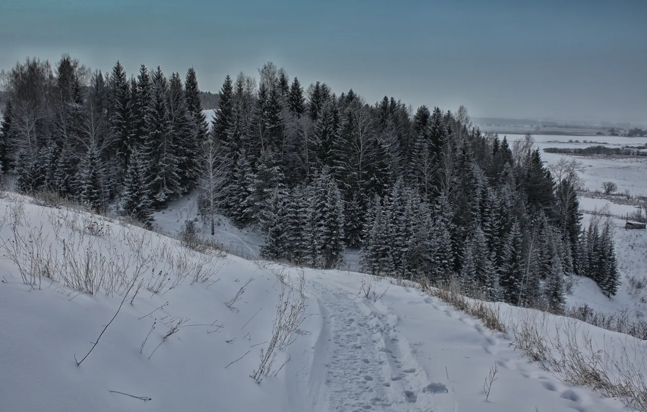 Фото обои зима, небо, деревья, даль, Гора, тропинка, Урал