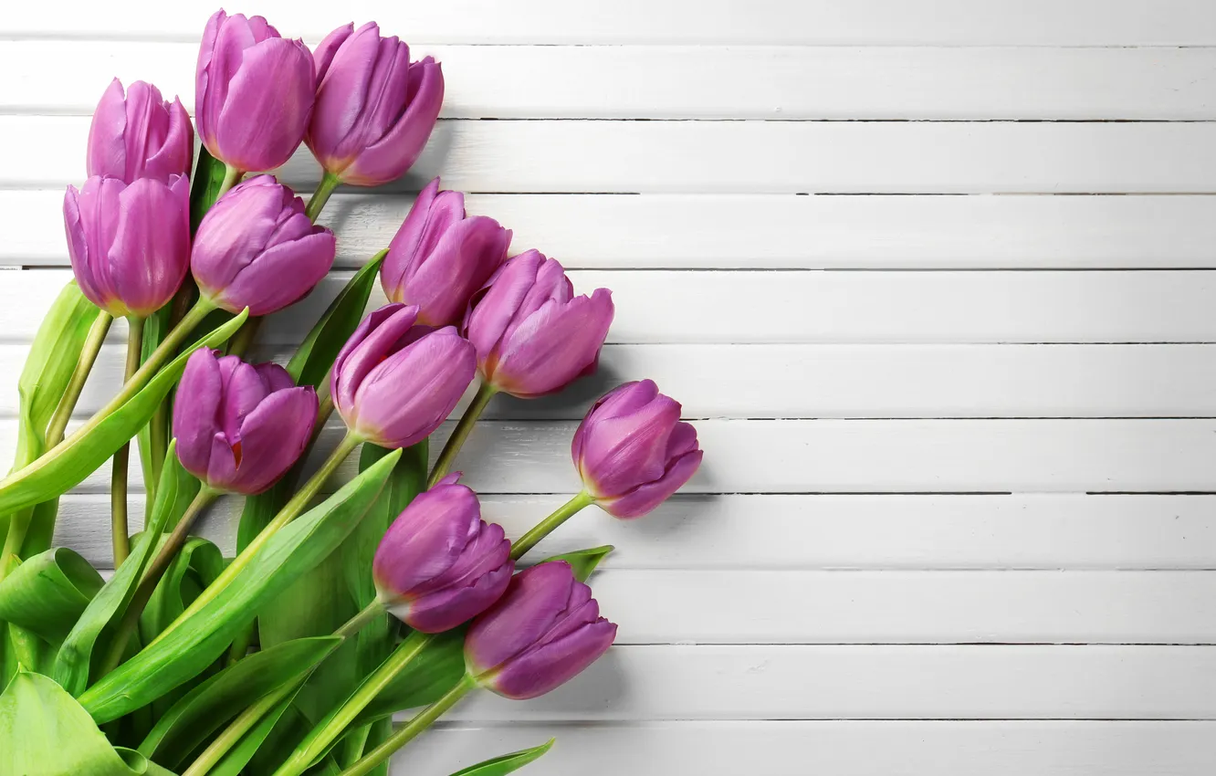Фото обои цветы, букет, тюльпаны, wood, flowers, tulips, spring, purple