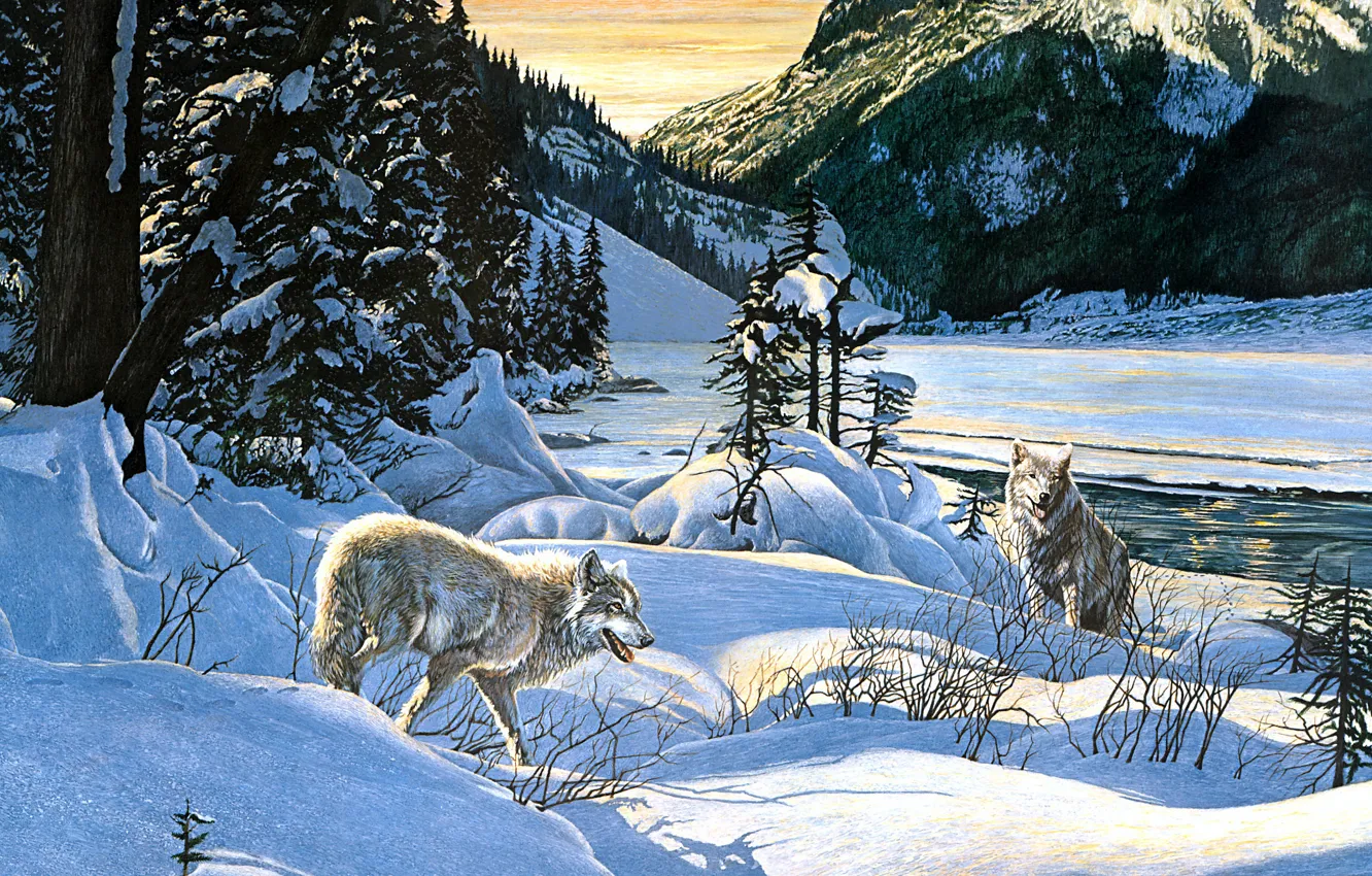 Фото обои зима, лес, свет, снег, горы, ветки, природа, поза