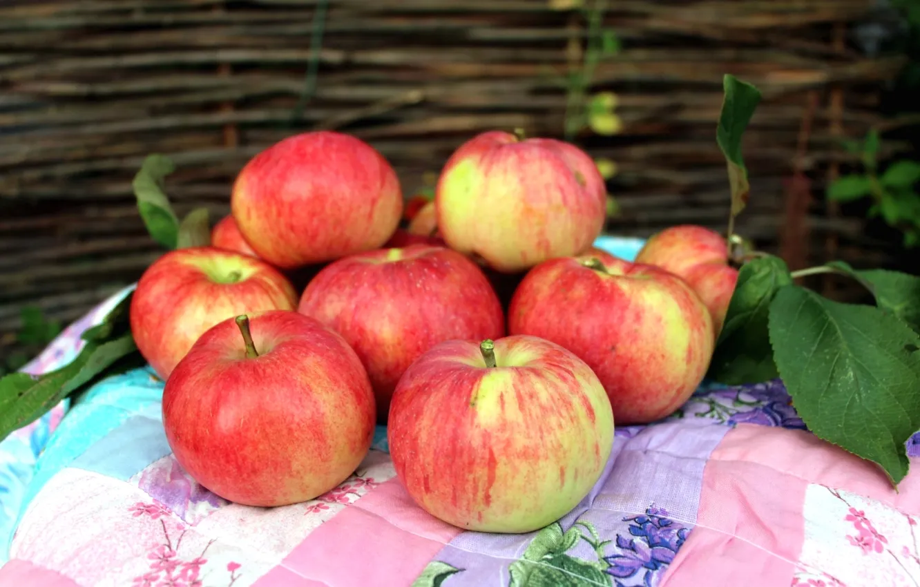 Фото обои яблоки, плоды, фрукты
