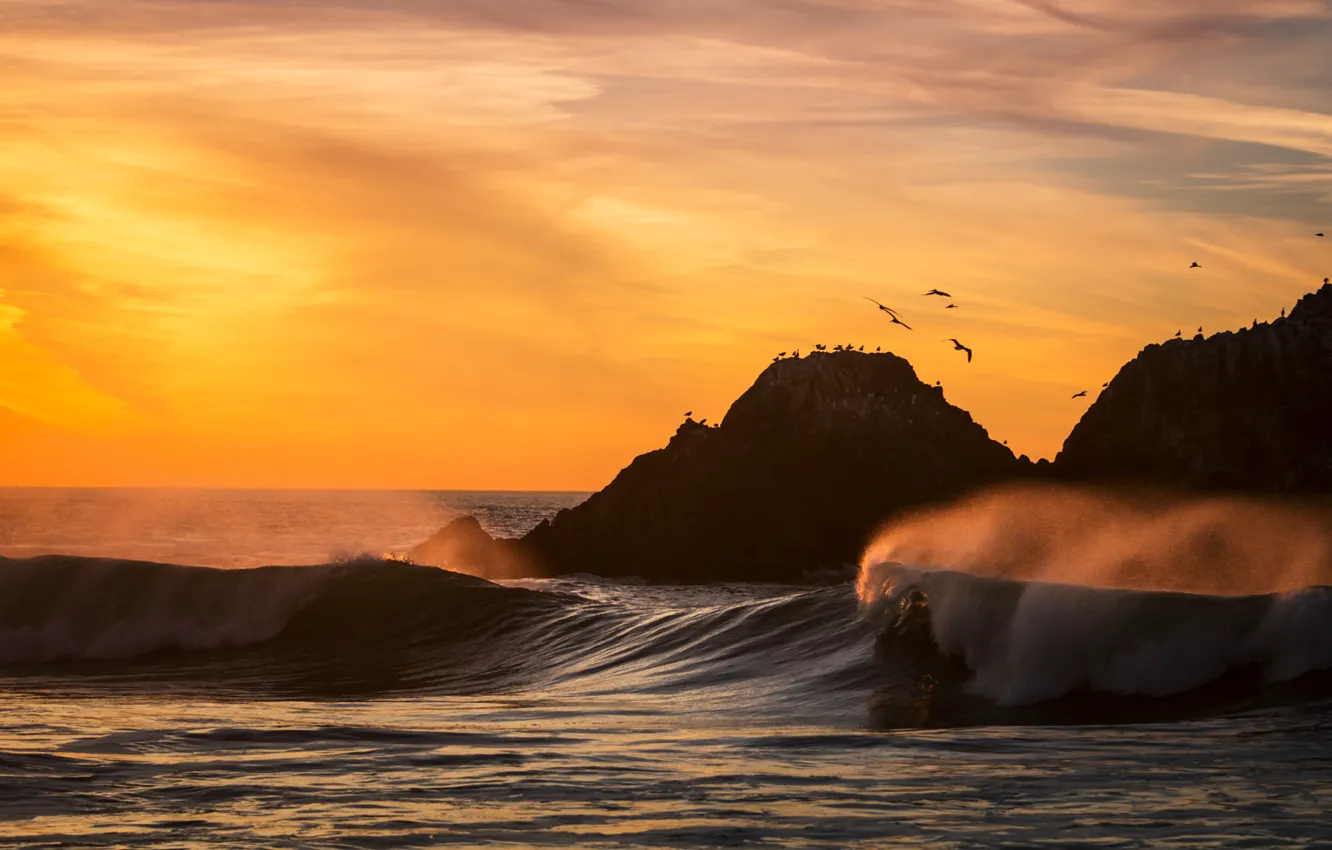 Фото обои волны, пляж, птицы, океан, california, sunset, San Francisco