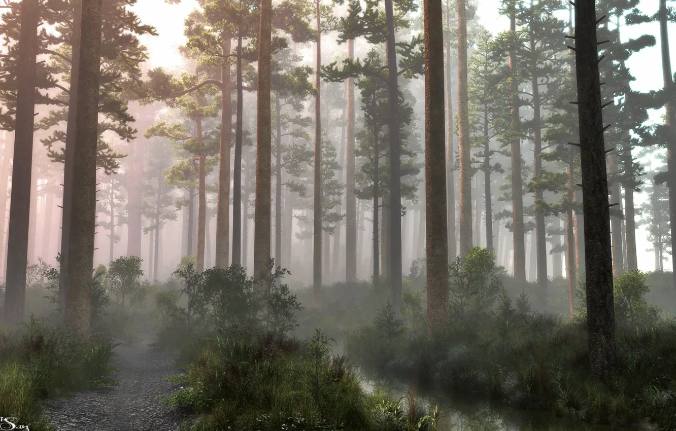 Фото обои лес, деревья, ручей, morning, pine forest