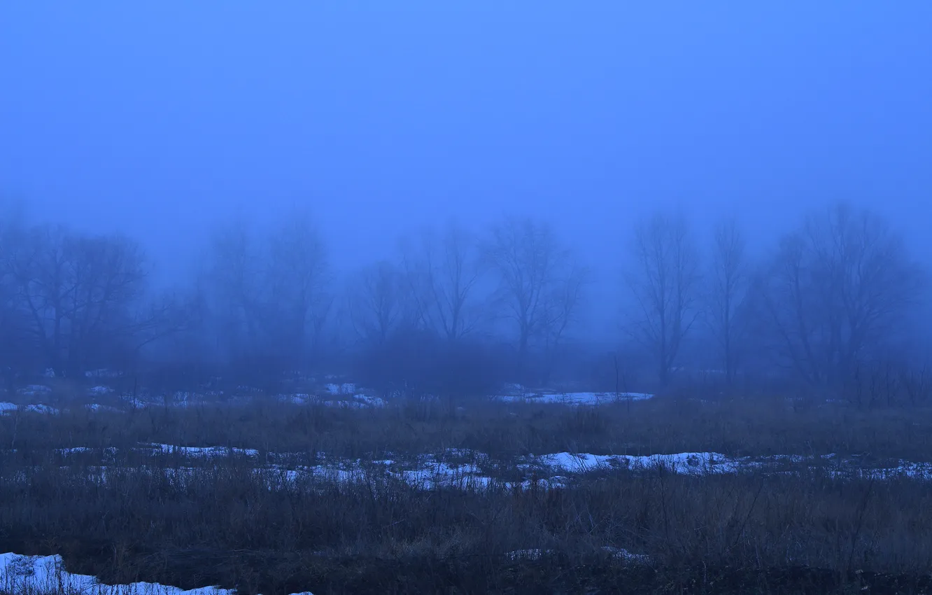 Фото обои снег, деревья, природа, туман, весна, вечер, Россия, сумерки