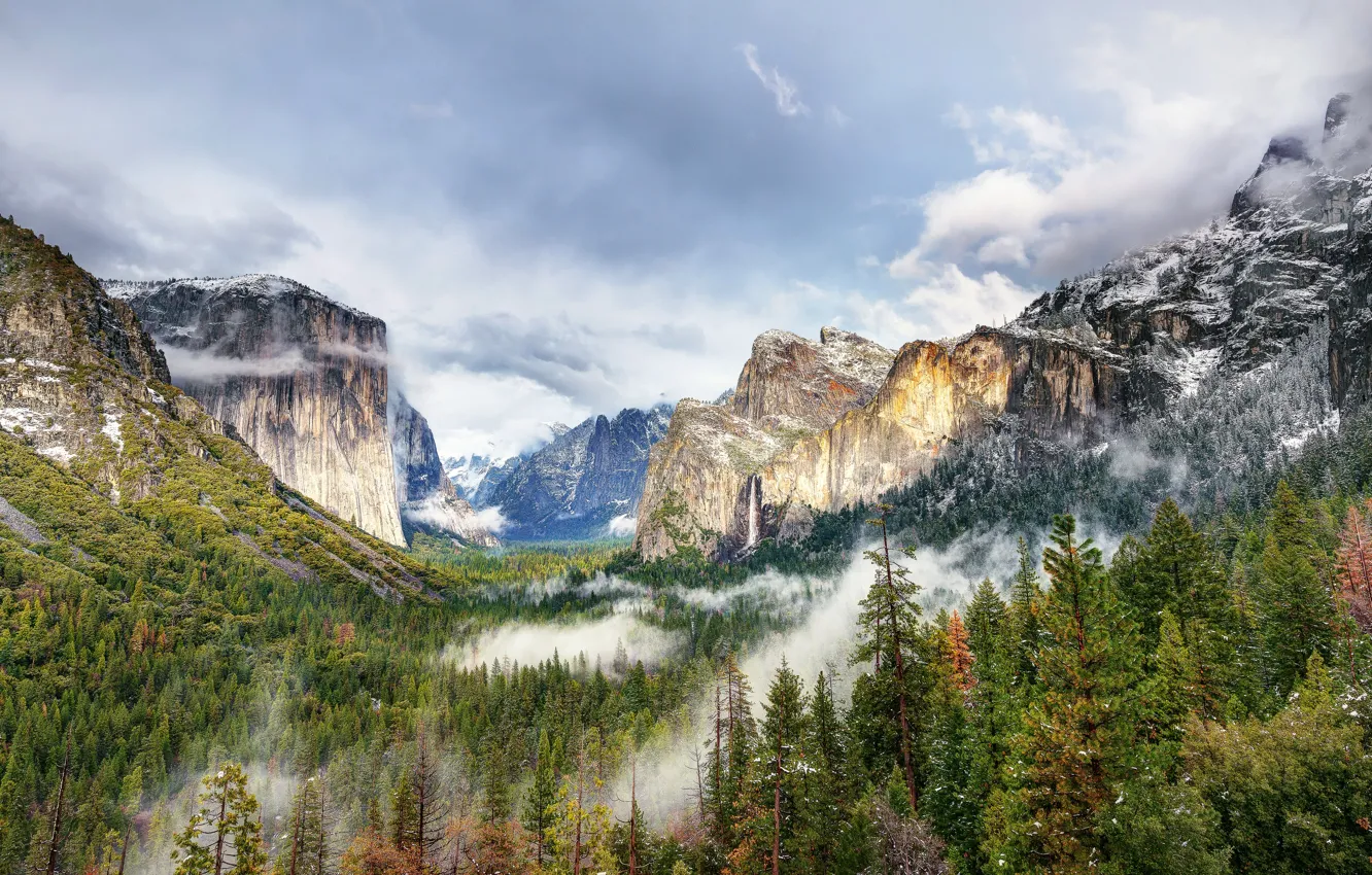 Фото обои лес, горы, природа, парк, фото, США, Йосемити