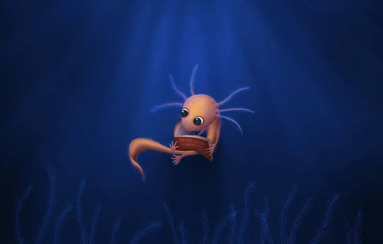 Фото обои вода, животное, vladstudio