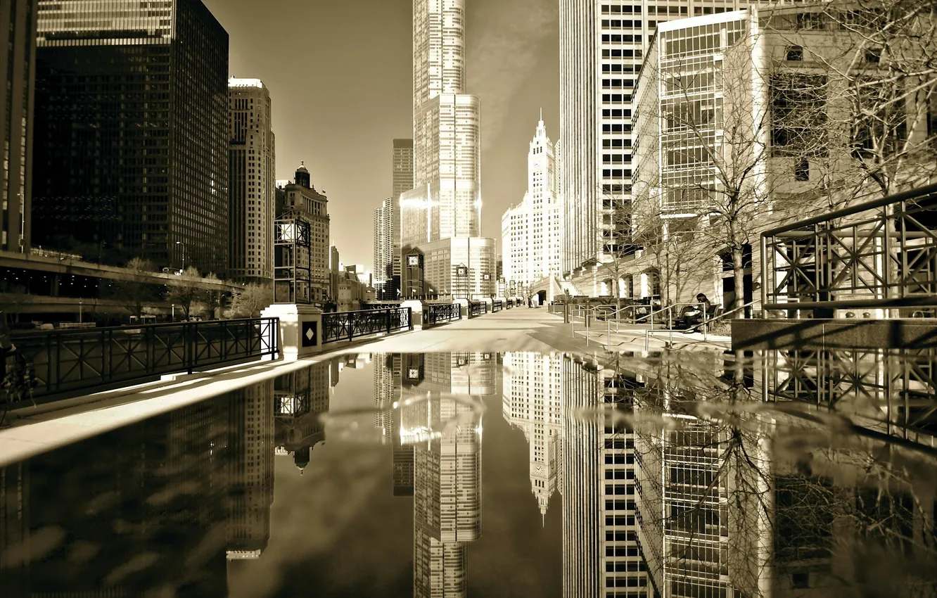 Фото обои осень, отражение, здания, небоскребы, лужа, америка, чикаго, Chicago