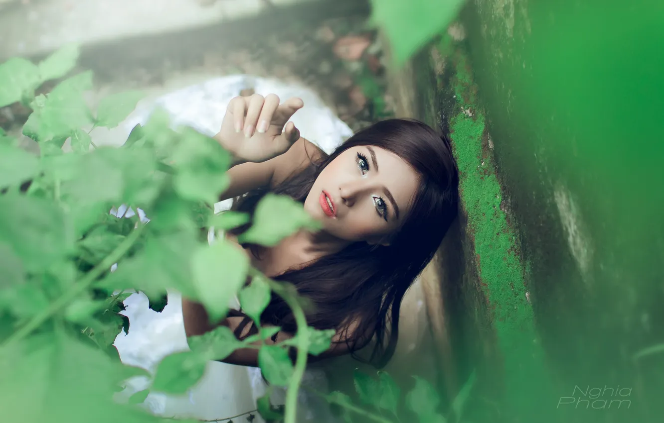 Фото обои зелень, взгляд, листья, девушка, растение, брюнетка, girl, азиатка