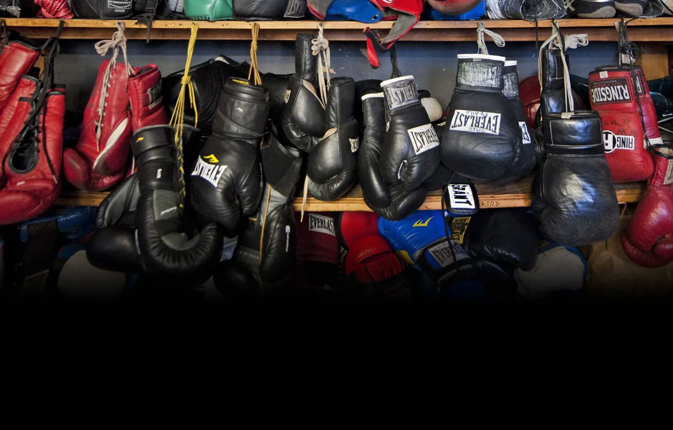 Фото обои Перчатки, Gloves, Boxing