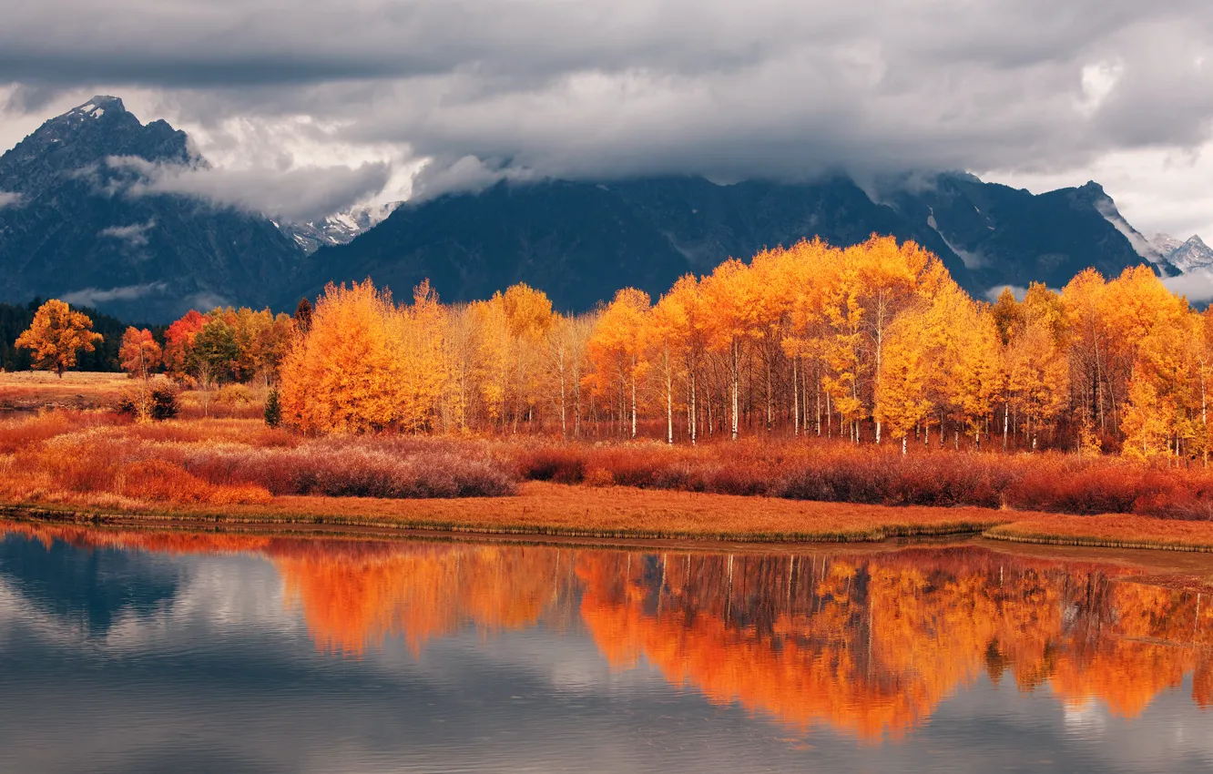 Фото обои осень, лес, горы, река