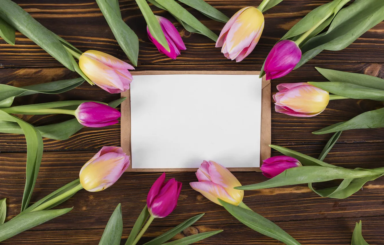 Фото обои цветы, colorful, тюльпаны, розовые, wood, pink, flowers, tulips