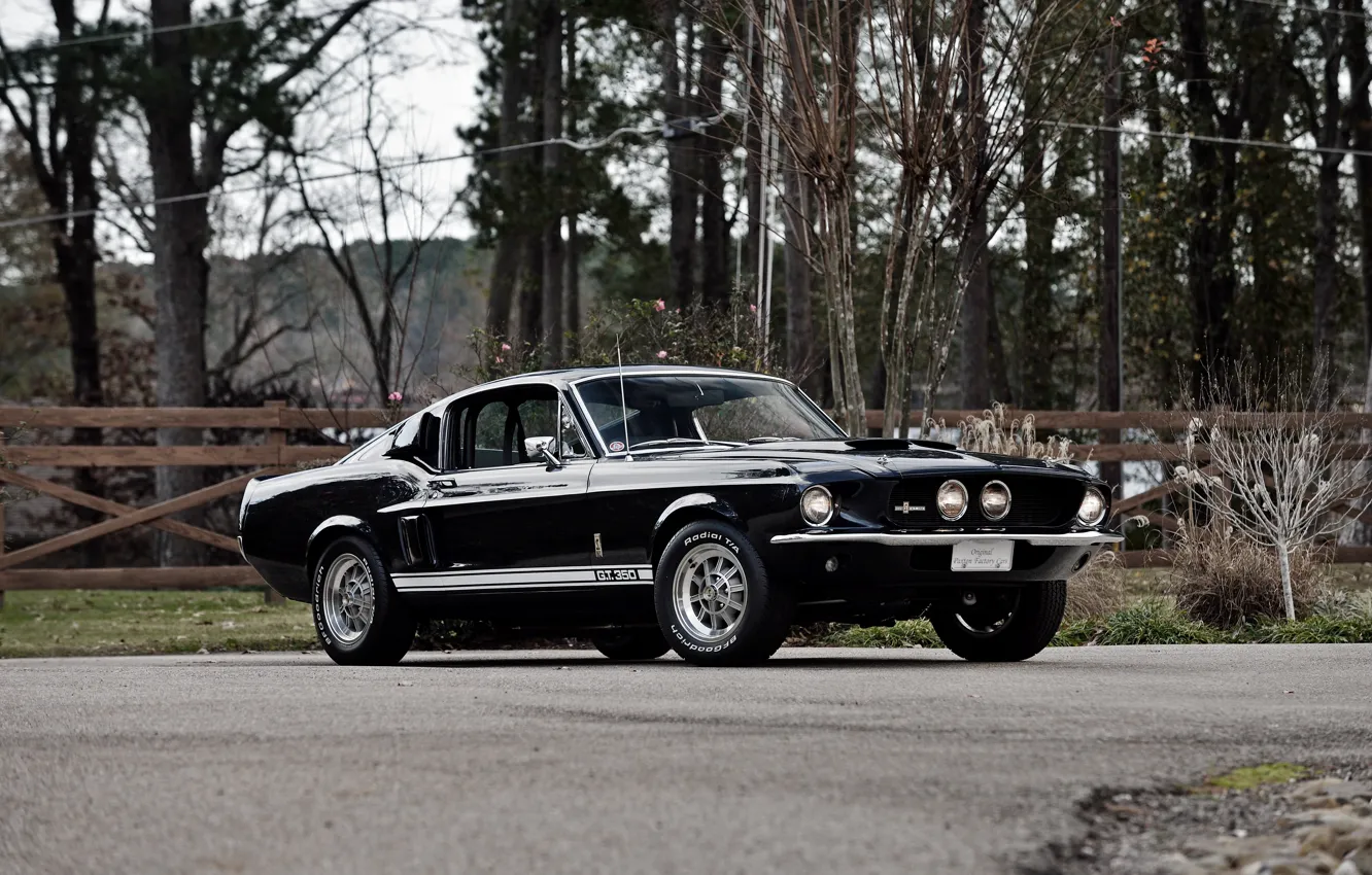 Обои Mustang, Ford, Shelby, мустанг, форд, шелби, 1967, GT350 на ...