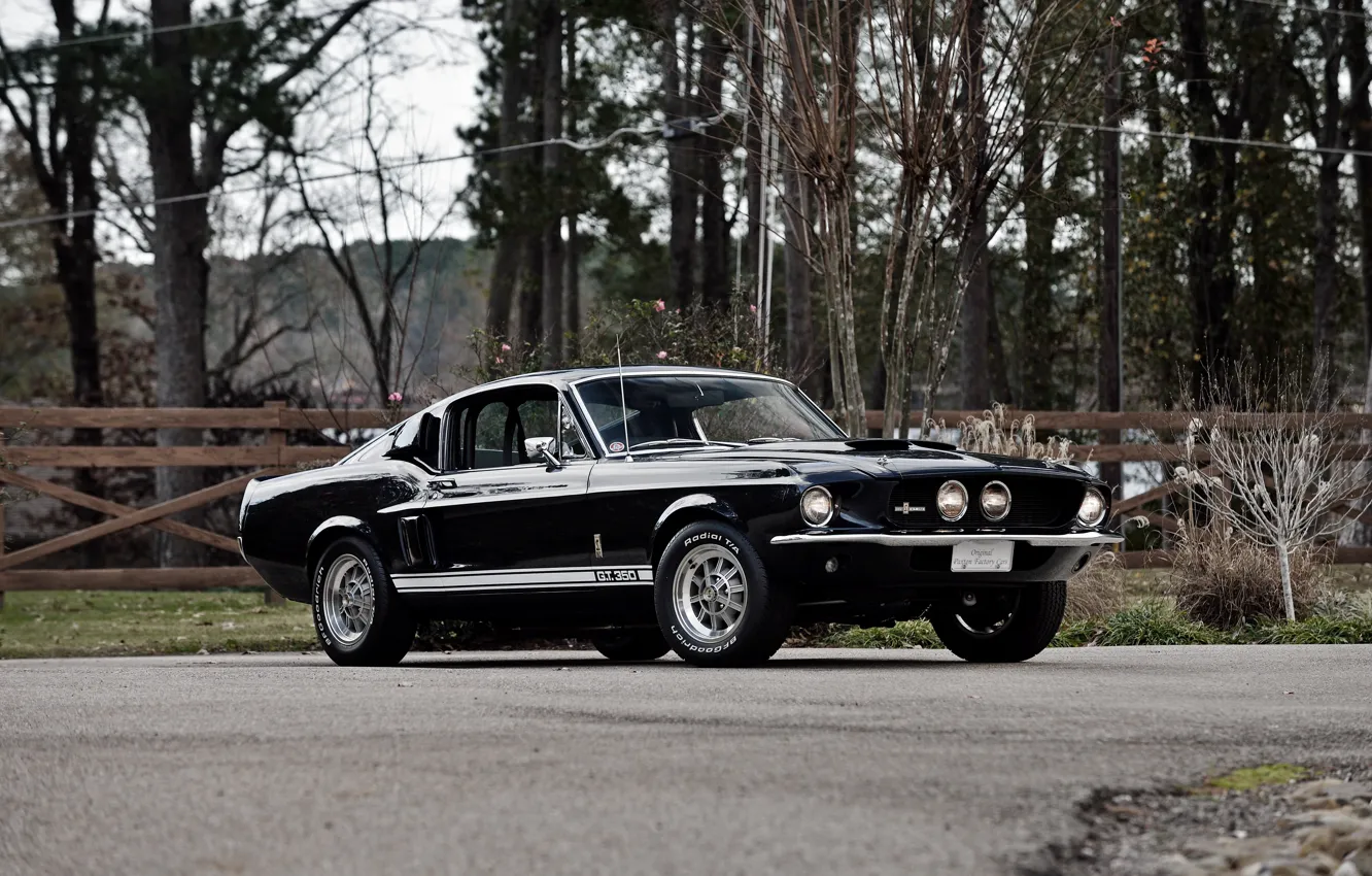 Фото обои Mustang, Ford, Shelby, мустанг, форд, шелби, 1967, GT350