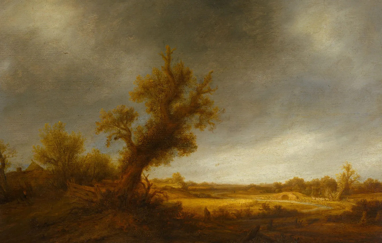Фото обои пейзаж, дерево, масло, картина, Адриан ван Остаде, Пейзаж со Старым Дубом