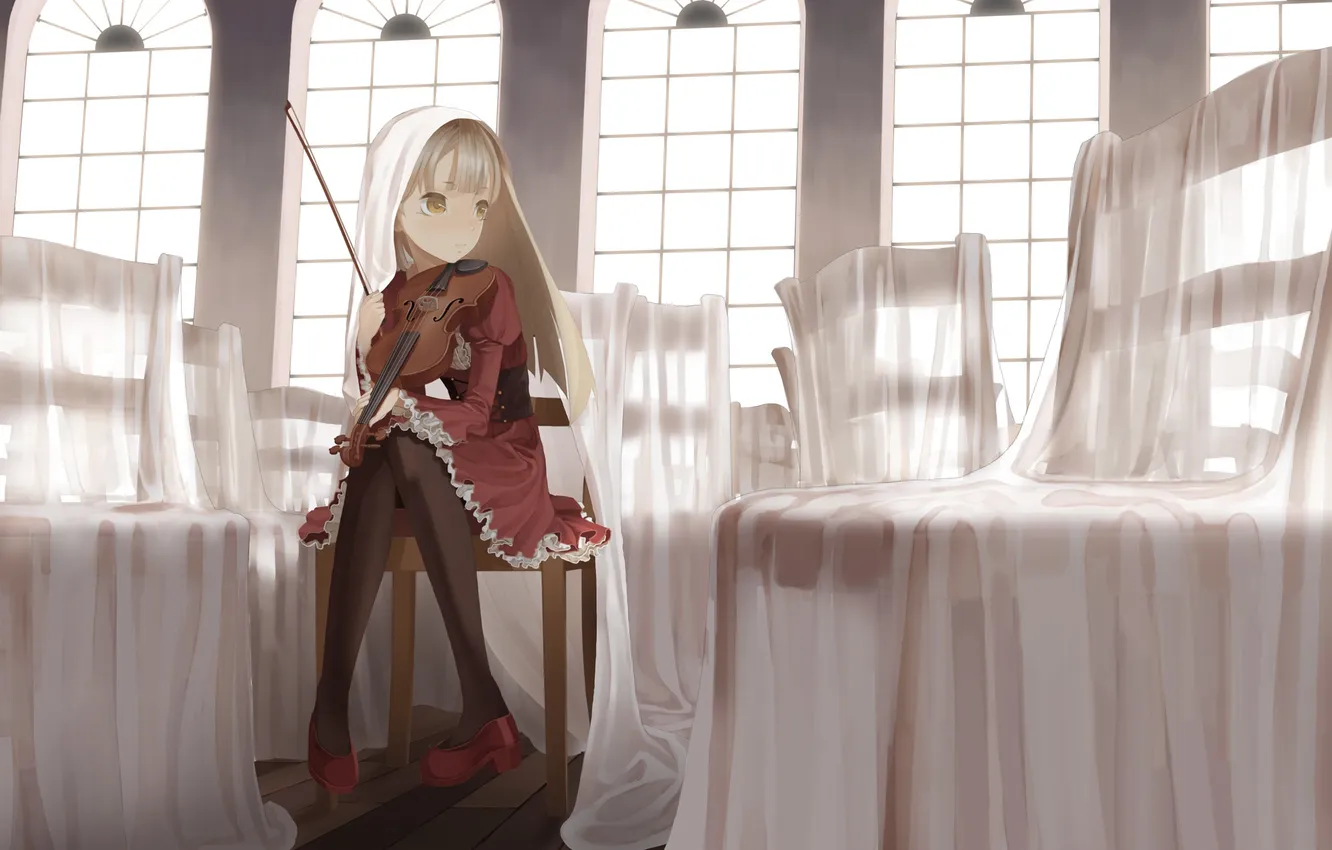 Фото обои девушка, скрипка, окна, стулья, арт, зал, вуаль, накидка