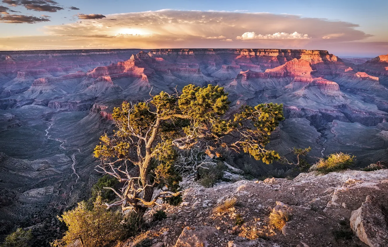 Фото обои Landscape, Arizona, Grand Canyon, National Park