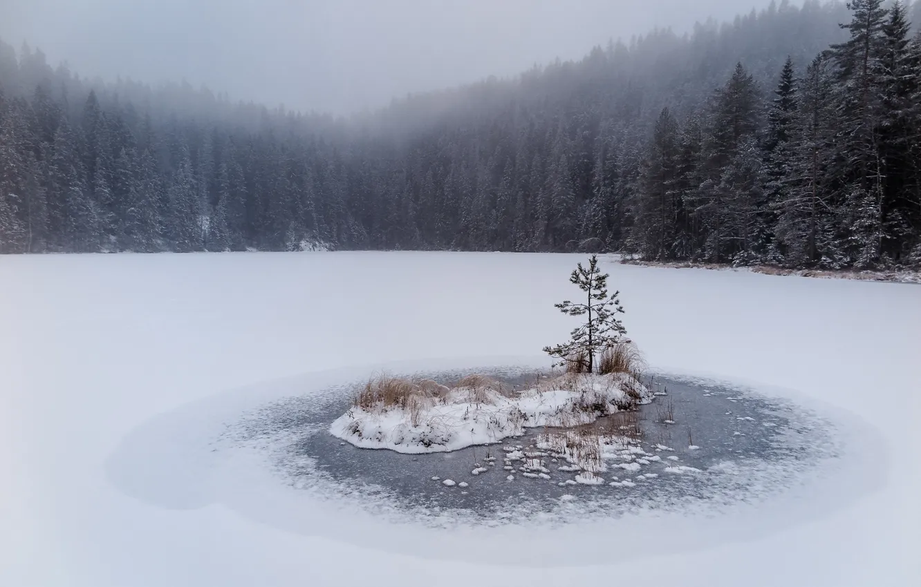 Фото обои зима, лес, горы, озеро
